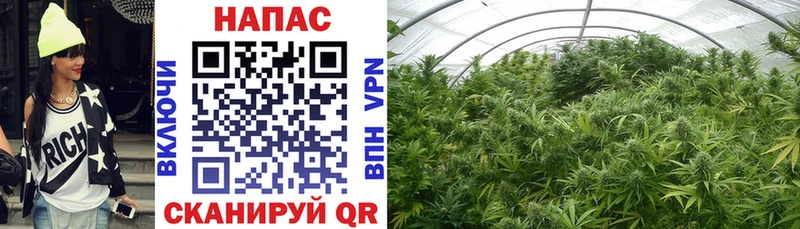 Где купить Сураж COCAIN АМФЕТАМИН ГАШ Марихуана Мефедрон