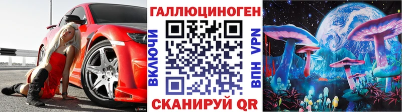 даркнет сайт  Сураж  Псилоцибиновые грибы Psilocybe 